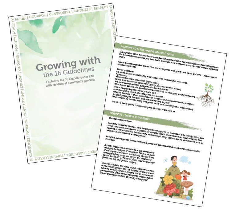 Growing with the 16 Guidelines