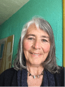 Marian O'Dwyer 16 Guidelines Facilitator