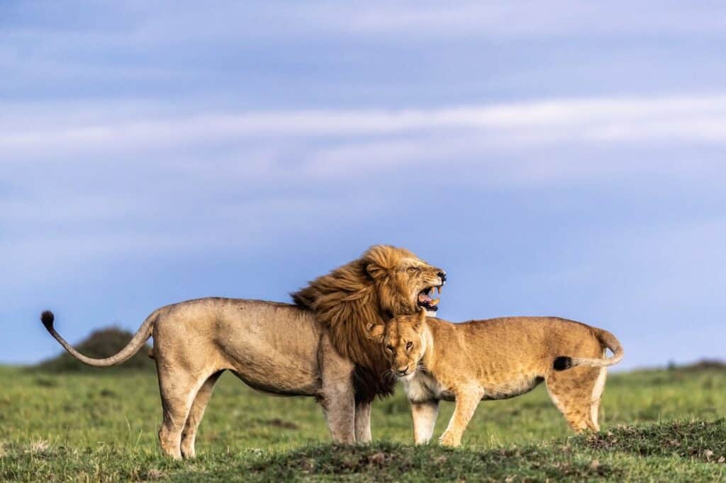 Fear and Pride
